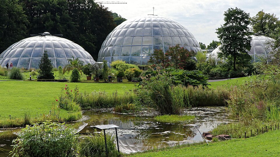 Botanical Garden of the University of Zurich（Switzerland）