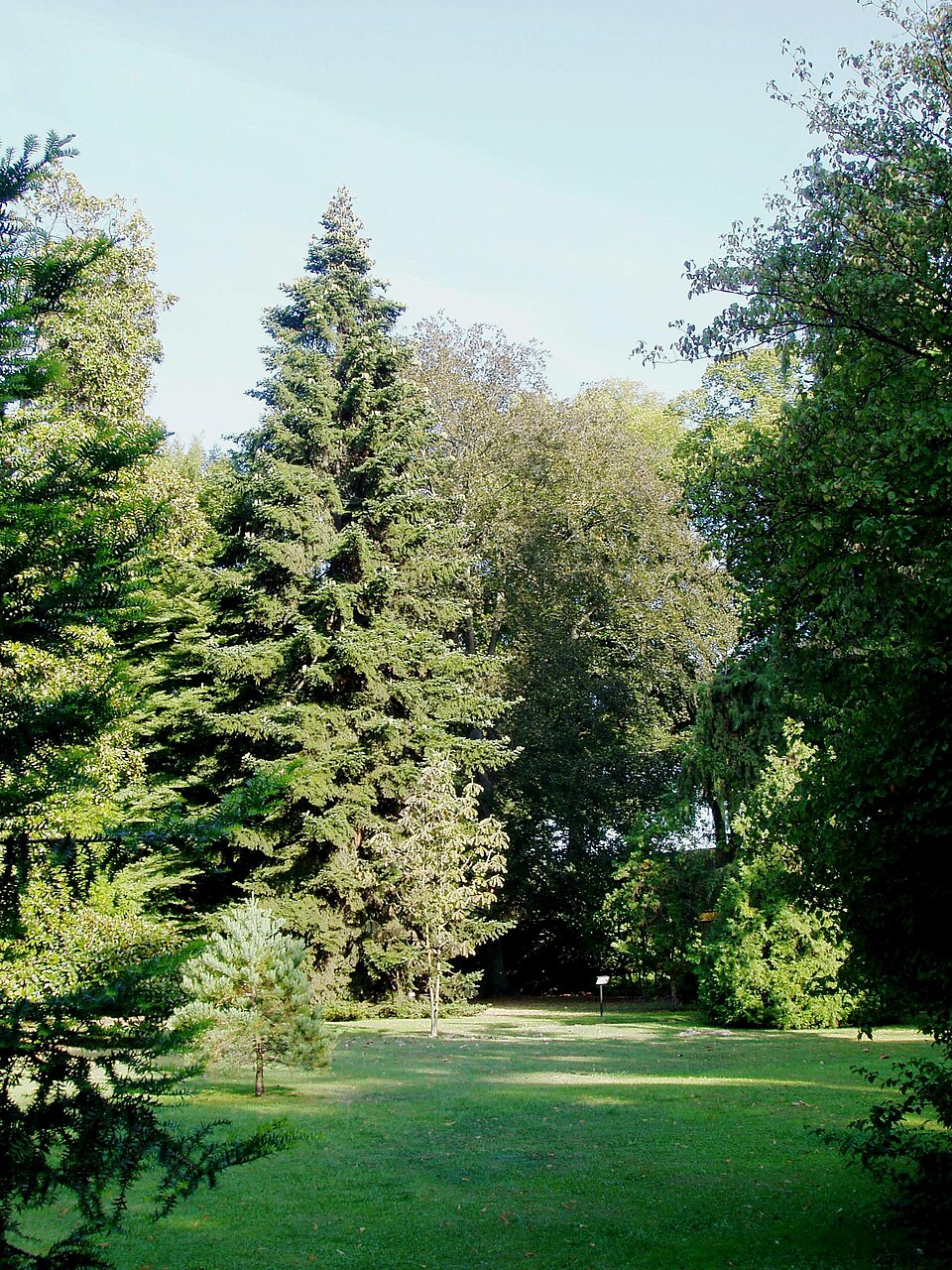 Orto Botanico Comunale di Lucca（Italy）