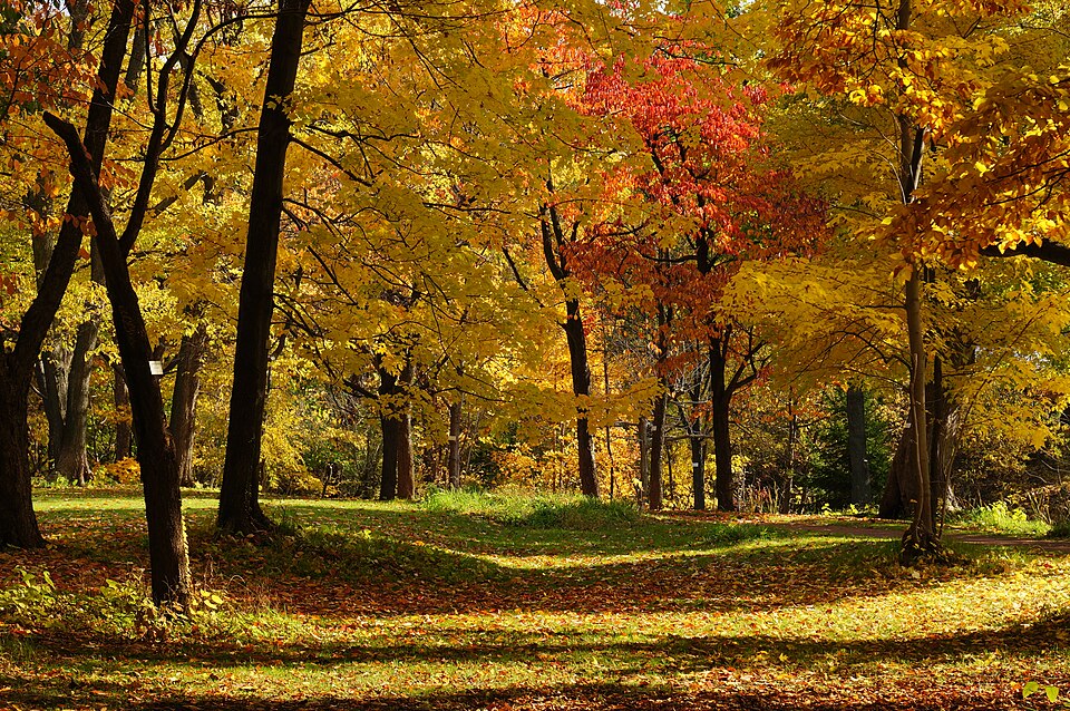 Hokkaido University Botanical Gardens（Japan）