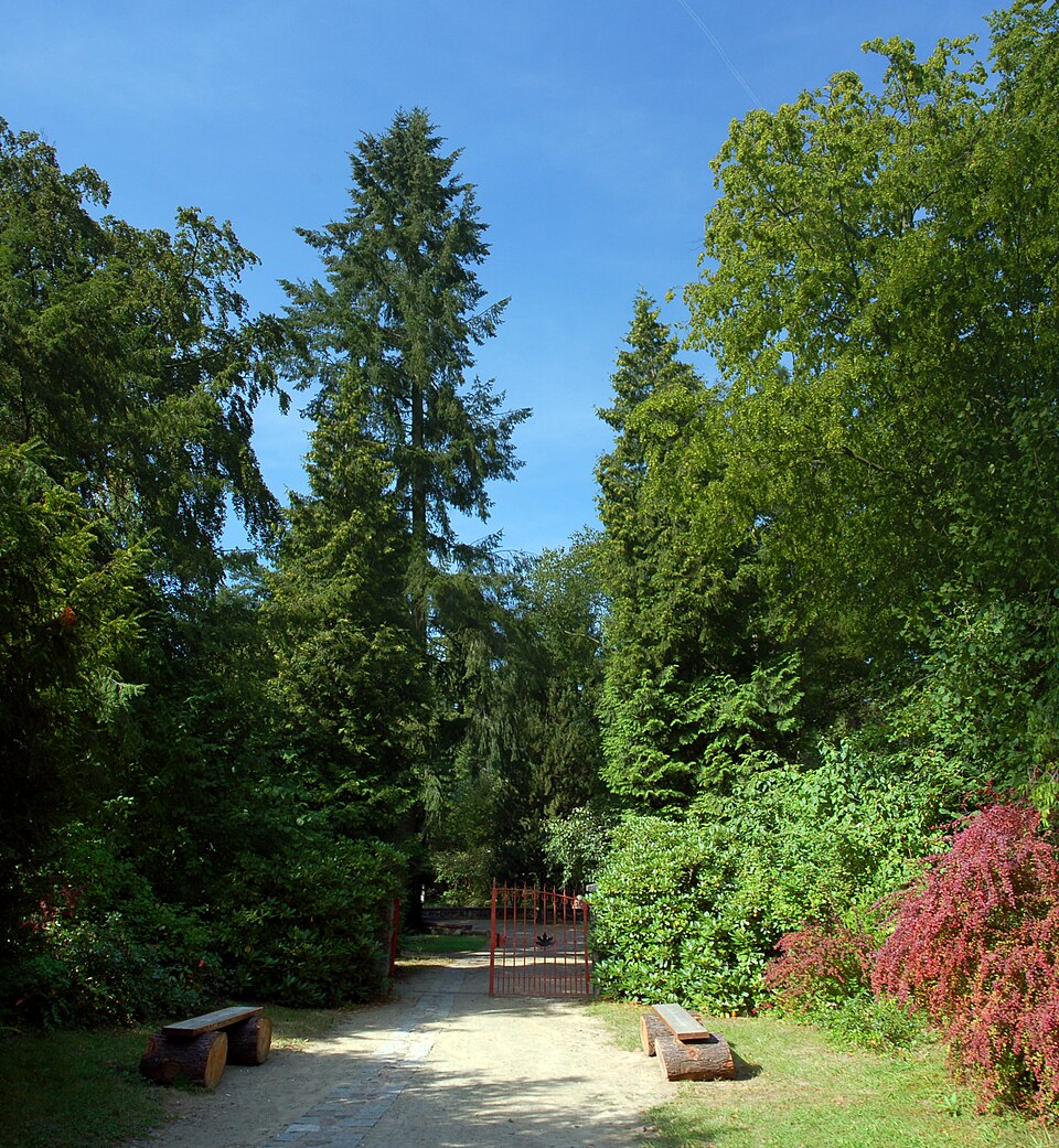 Forstbotanischer Garten Eberswalde（Germany）