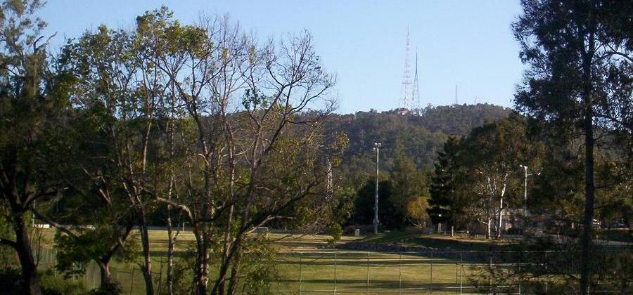 Brisbane Botanic Gardens, Mount Coot-tha（Australia）