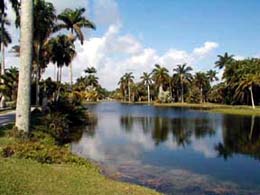 Fairchild Tropical Botanic Garden（United States）