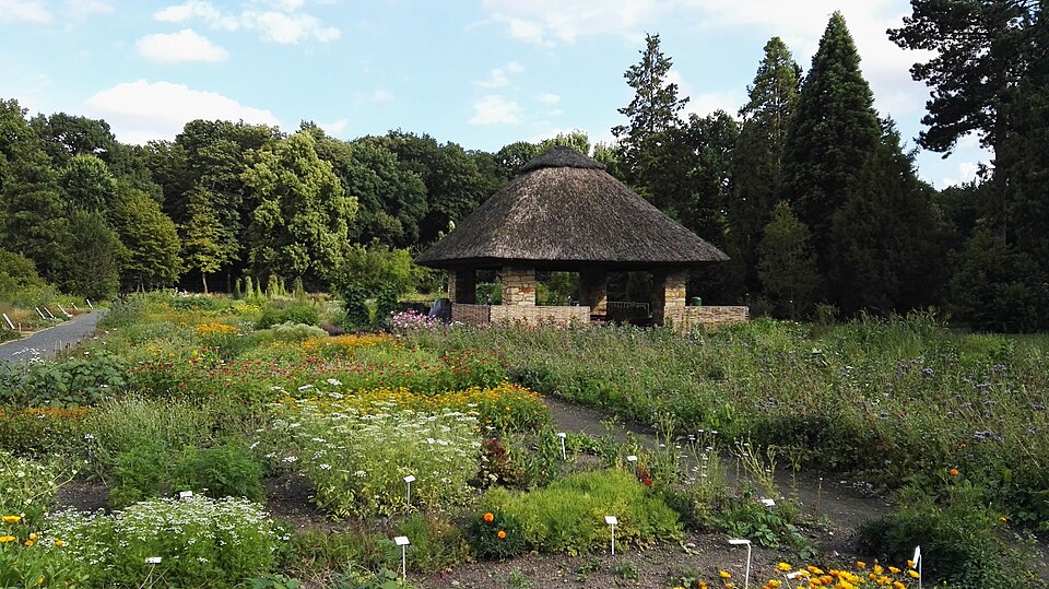 Botanischer Garten der Technischen Universität Dresden（Germany）