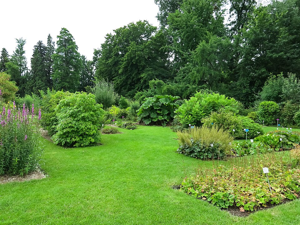 Bonn Botanical Garden（Germany）