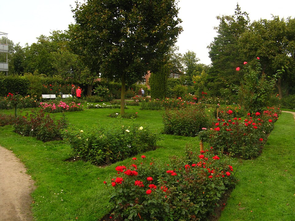 Rosarium Uetersen（Germany）