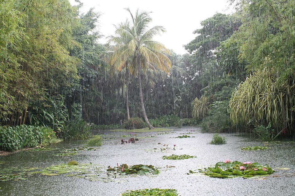 Jardin botanique de Deshaies（France）