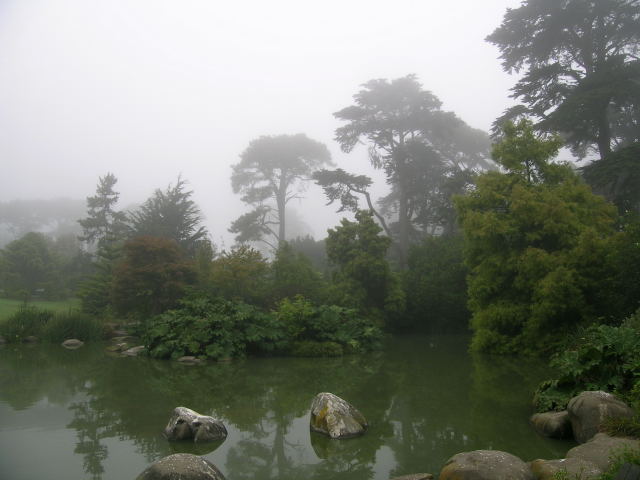 San Francisco Botanical Garden（United States）