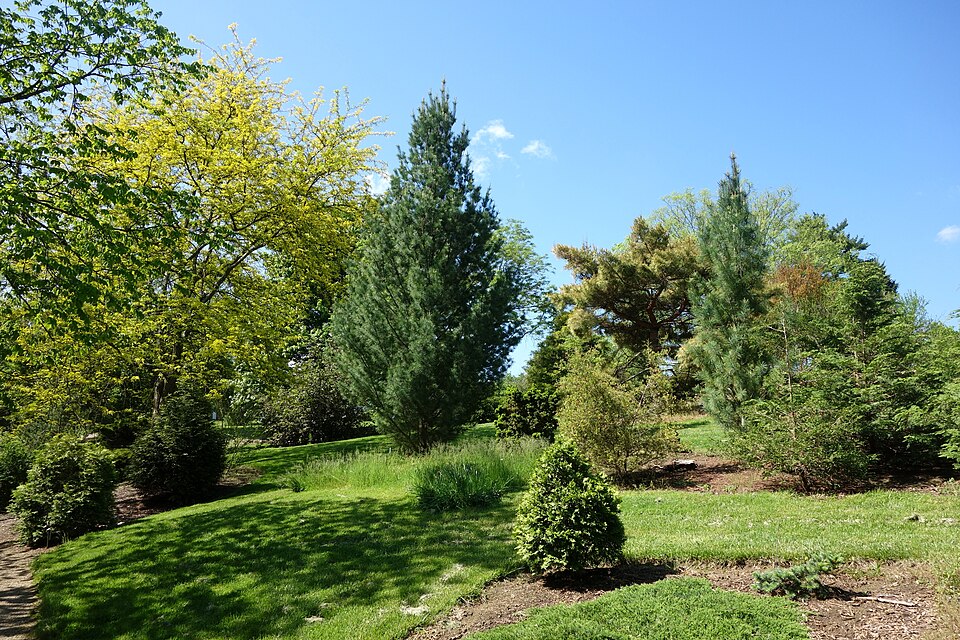 Stanley M. Rowe Arboretum（United States）