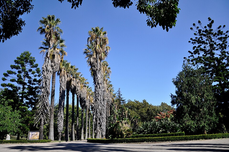 Jardim Botânico Tropical（Portugal）