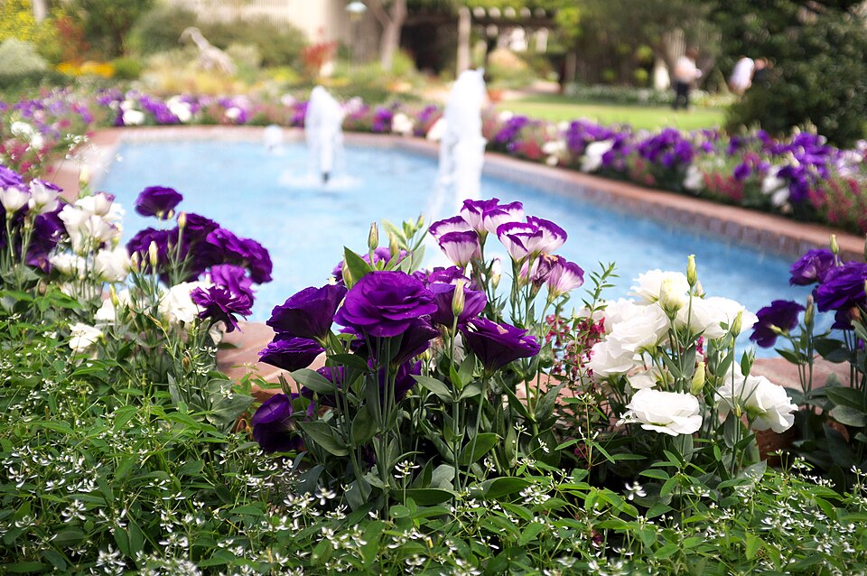 Sherman Library and Gardens（United States）