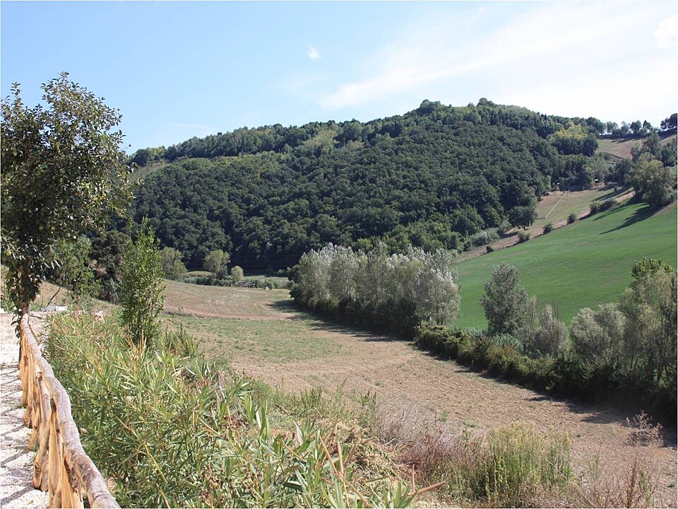 Orto Botanico dell'Università Politecnica delle Marche（Italy）