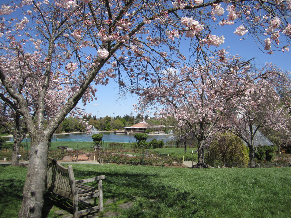 Gardens at Heather Farm（United States）