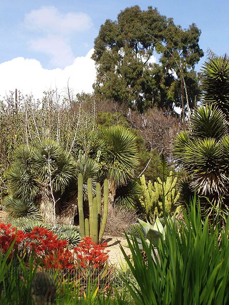 University of California, Irvine Arboretum（United States）