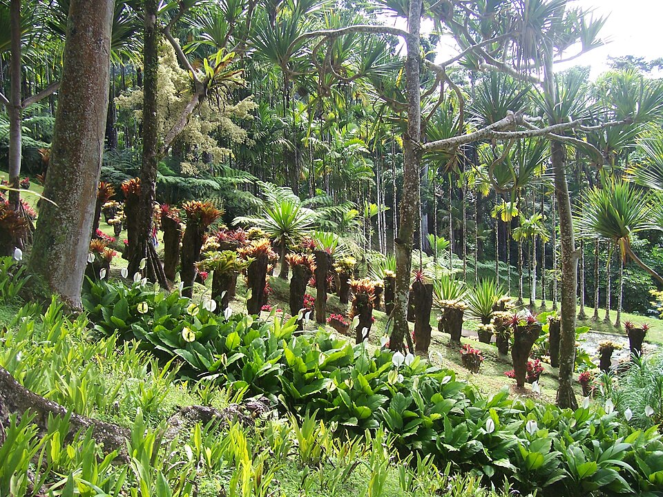 Balata Garden（France）
