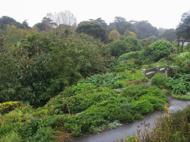 Ventnor Botanic Garden（United Kingdom）