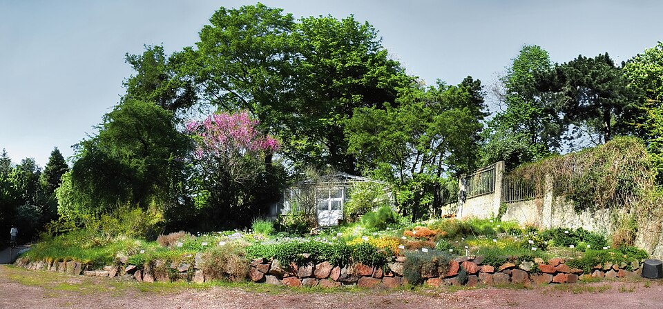 Botanischer Garten der Martin-Luther-Universität Halle-Wittenberg（Germany）