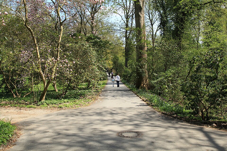 Botanischer Garten Rombergpark（Germany）