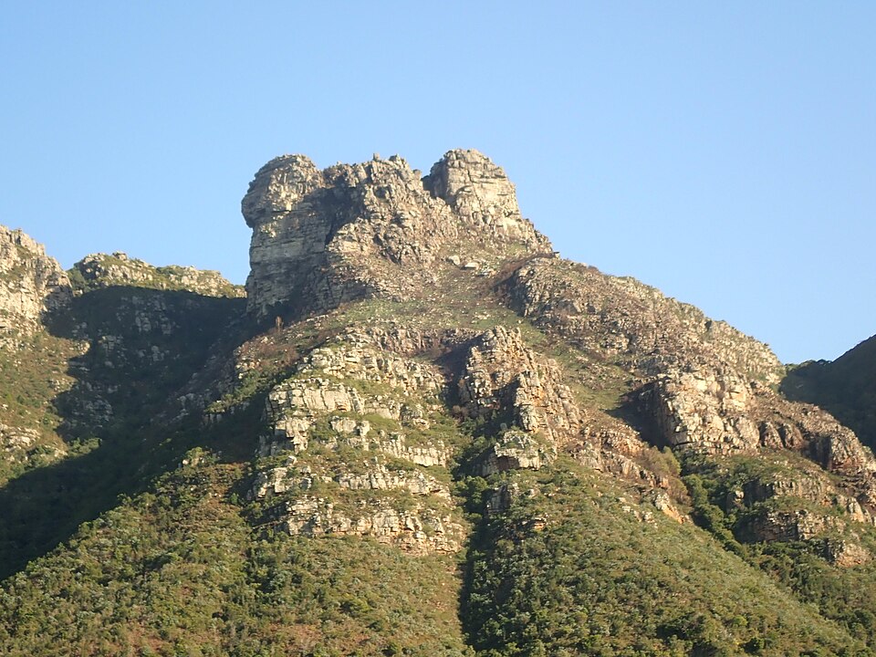 Kirstenbosch National Botanical Garden（South Africa）