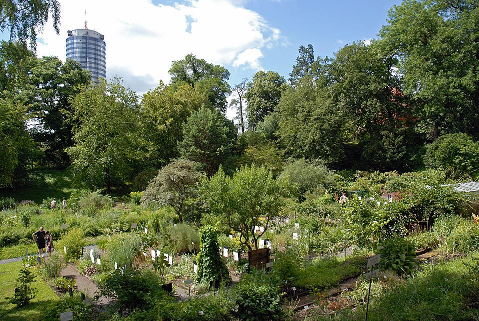 Botanischer Garten Jena（Germany）