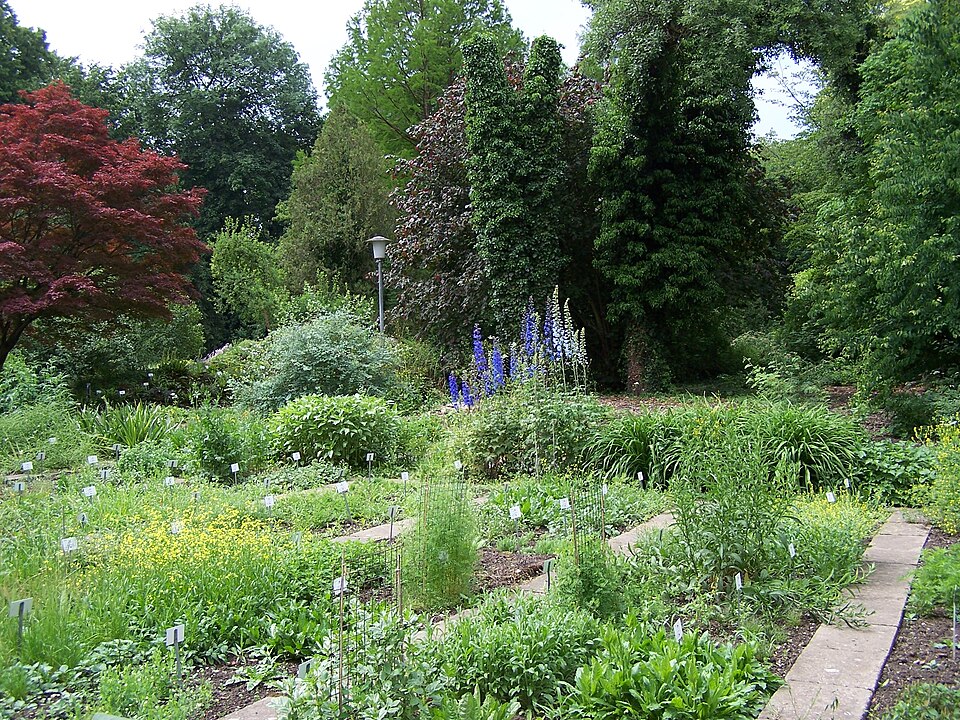 Old Botanical Garden of Göttingen University（Germany）