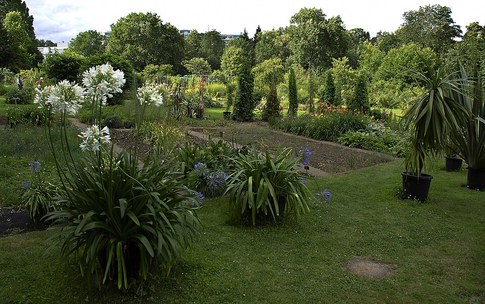 Hohenheim Gardens（Germany）