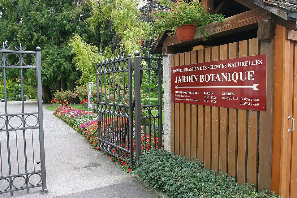Jurassica Museum (institution)（Switzerland）
