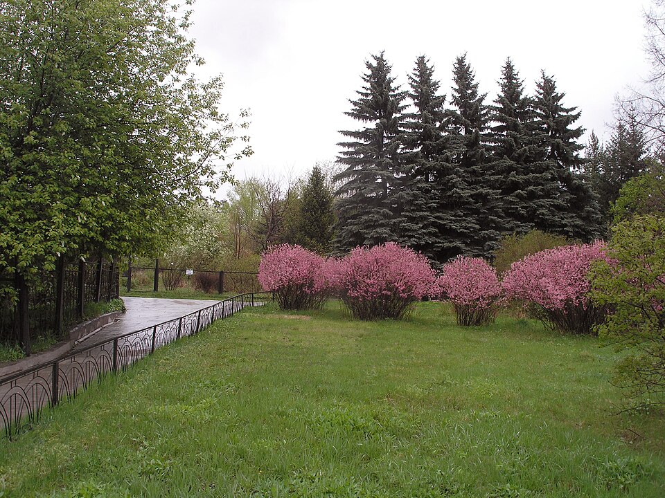 Botanic Garden of the Irkutsk State University（Russia）