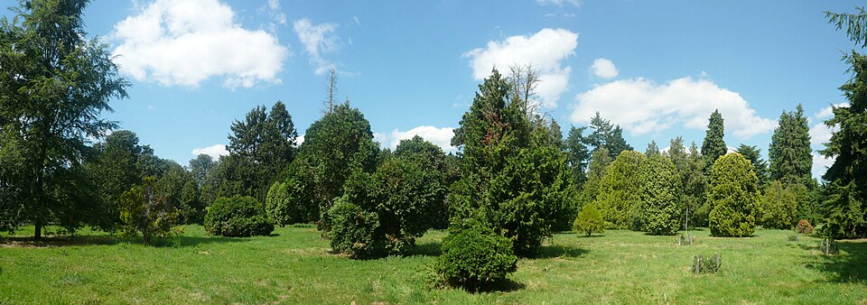 Arboretum de Chèvreloup（France）