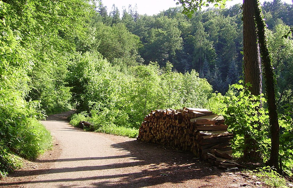 Exotenwald Weinheim（Germany）