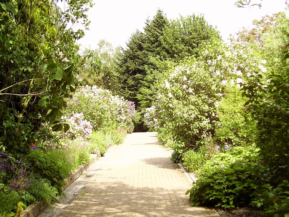 Experimental Garden Jean Massart（Belgium）