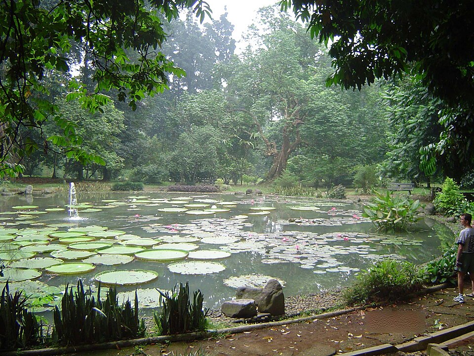 Bogor Botanical Gardens（Indonesia）