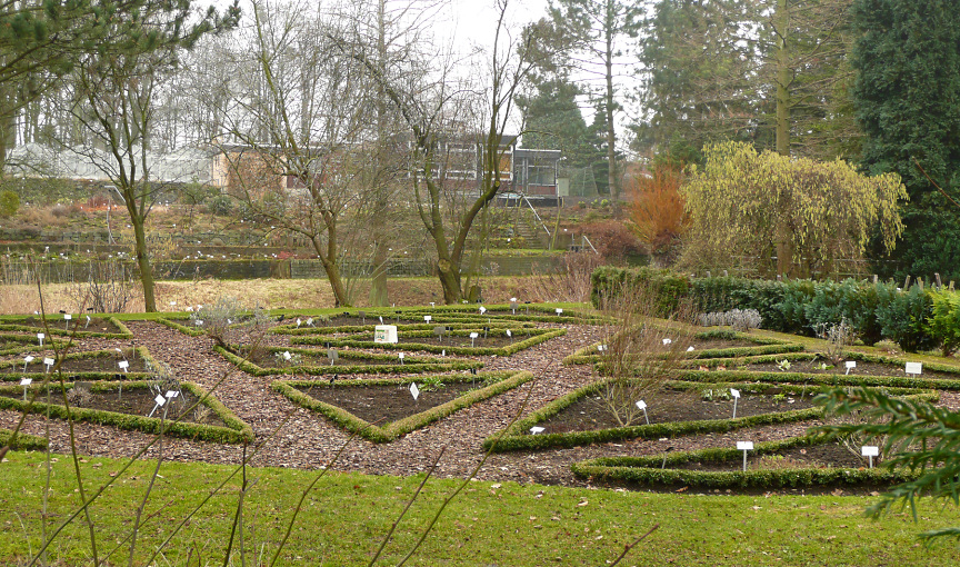 Botanischer Schulgarten Burg（Germany）