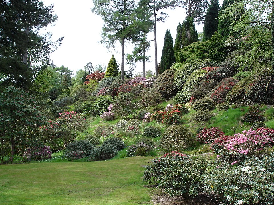 Benmore Botanic Garden（United Kingdom）
