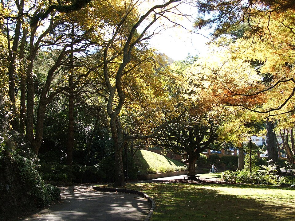 Wellington Botanic Garden（New Zealand）