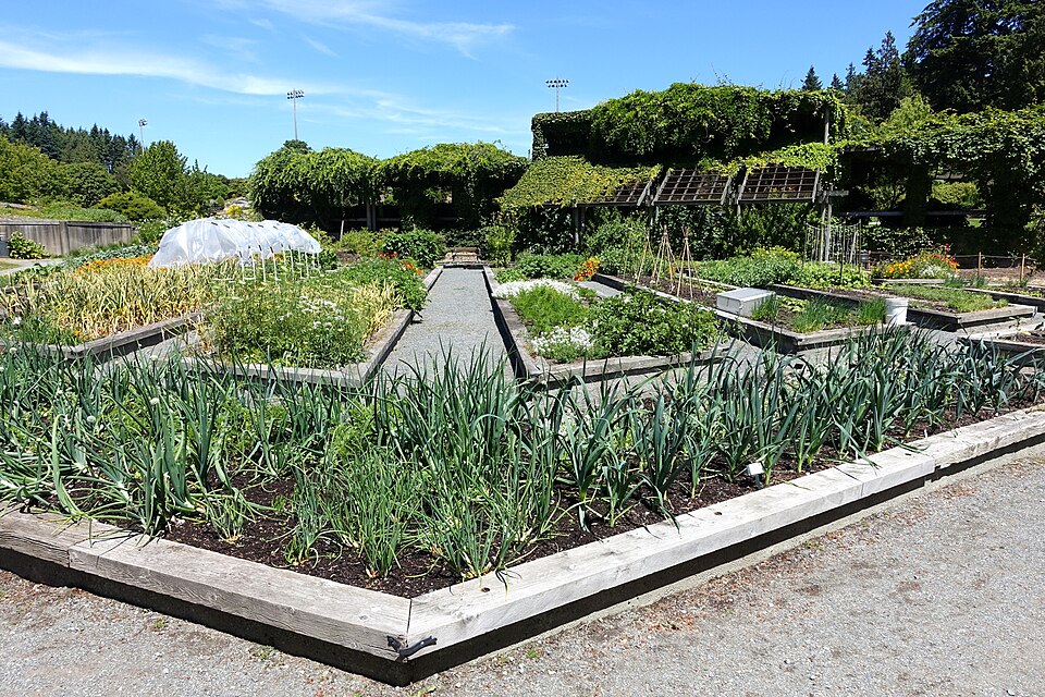 UBC Botanical Garden and Centre for Plant Research（Canada）