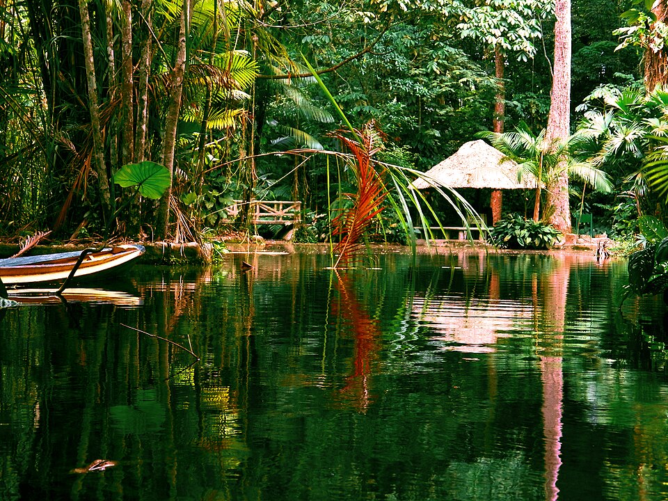 Bosque Rodrigues Alves（Brazil）