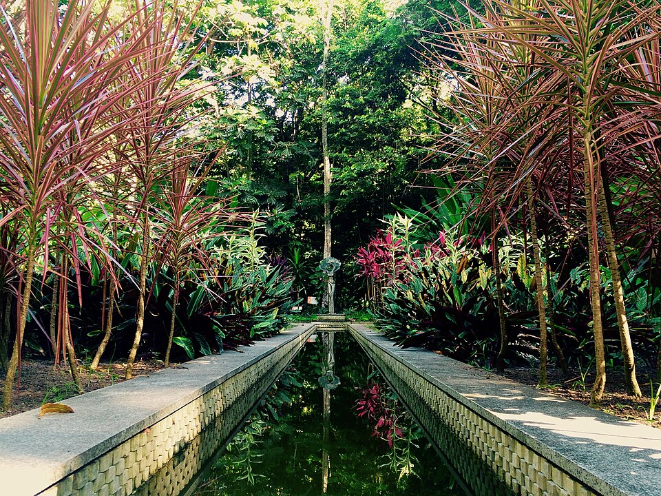 Jardim Botânico do Recife（Brazil）