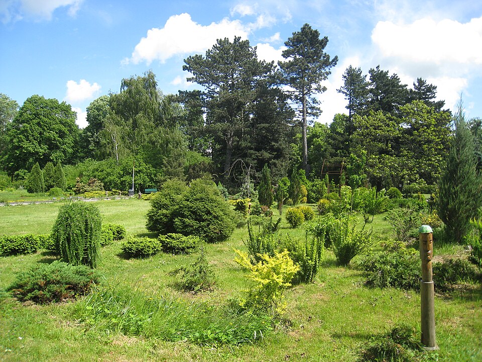 Botanical Garden of the Baltic Federal University Kant（Russia）