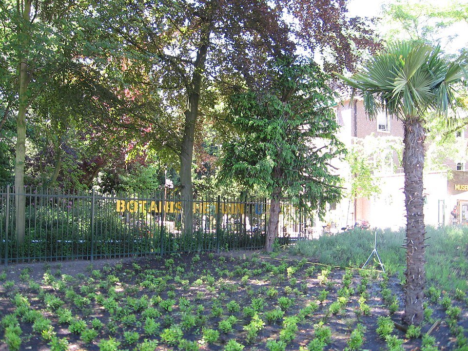 TU Delft Hortus Botanicus（Netherlands）
