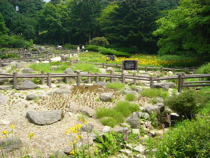 Rokko Alpine Botanical Garden（Japan）