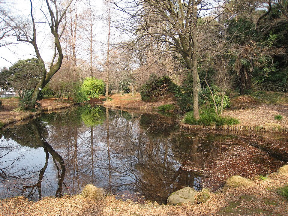 Koishikawa Botanical Garden（Japan）