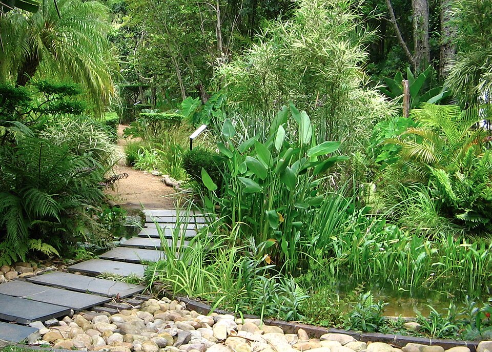Stellenbosch University Botanical Garden（South Africa）