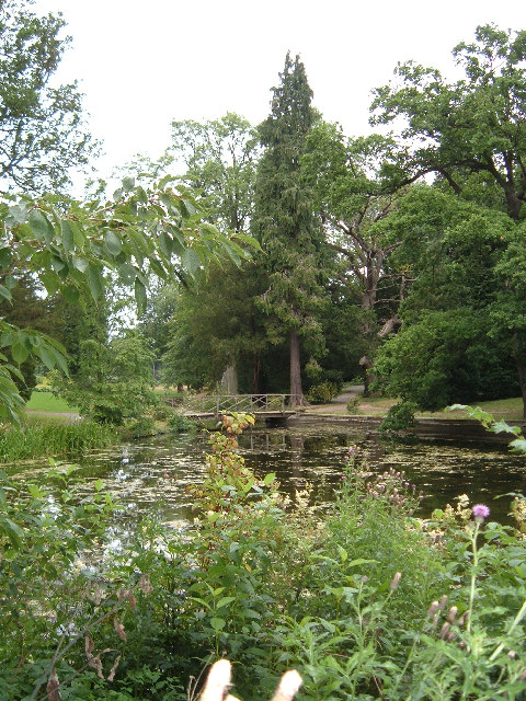 Thorp Perrow Arboretum（United Kingdom）