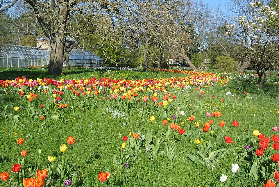 Botaniska trädgården（Sweden）