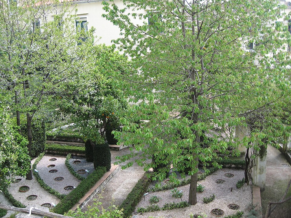 Minerva's Garden（Italy）