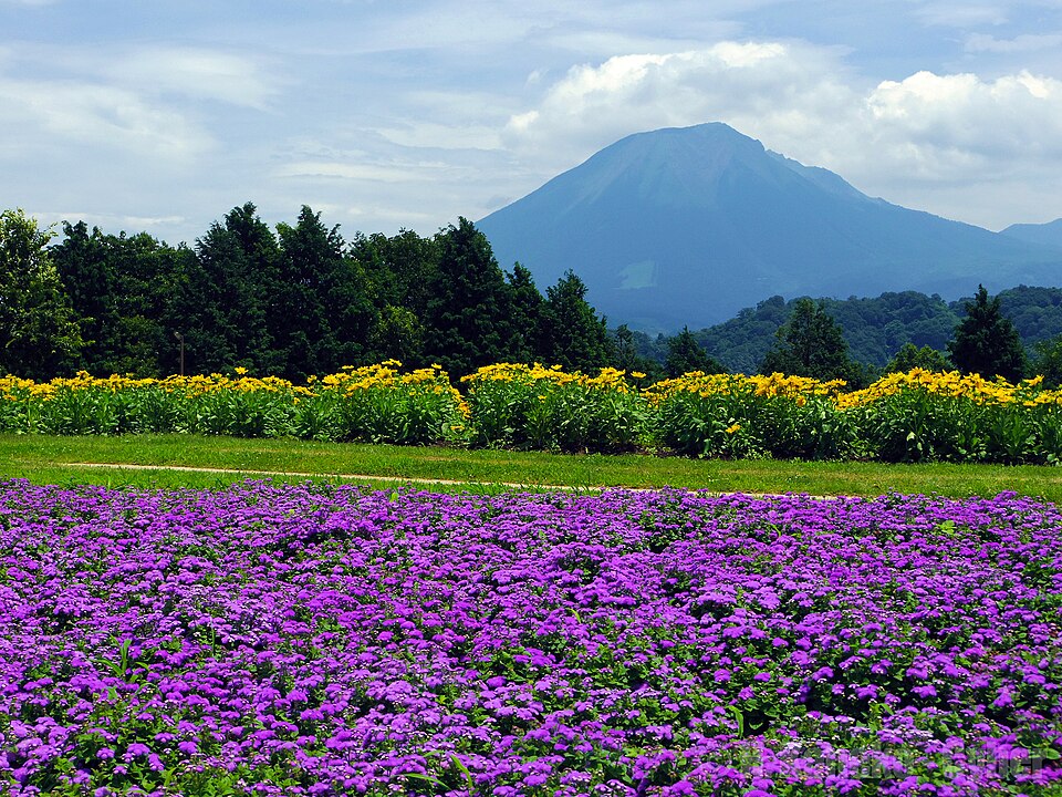 Tottori Hanakairo-Flower Park（Japan）