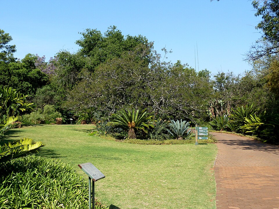 Pretoria National Botanical Garden（South Africa）