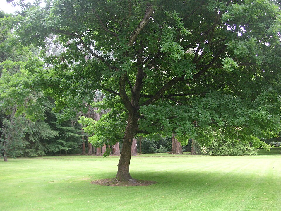 Queen's Park, Invercargill（New Zealand）