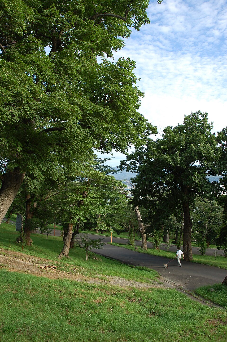 Temiya Park（Japan）