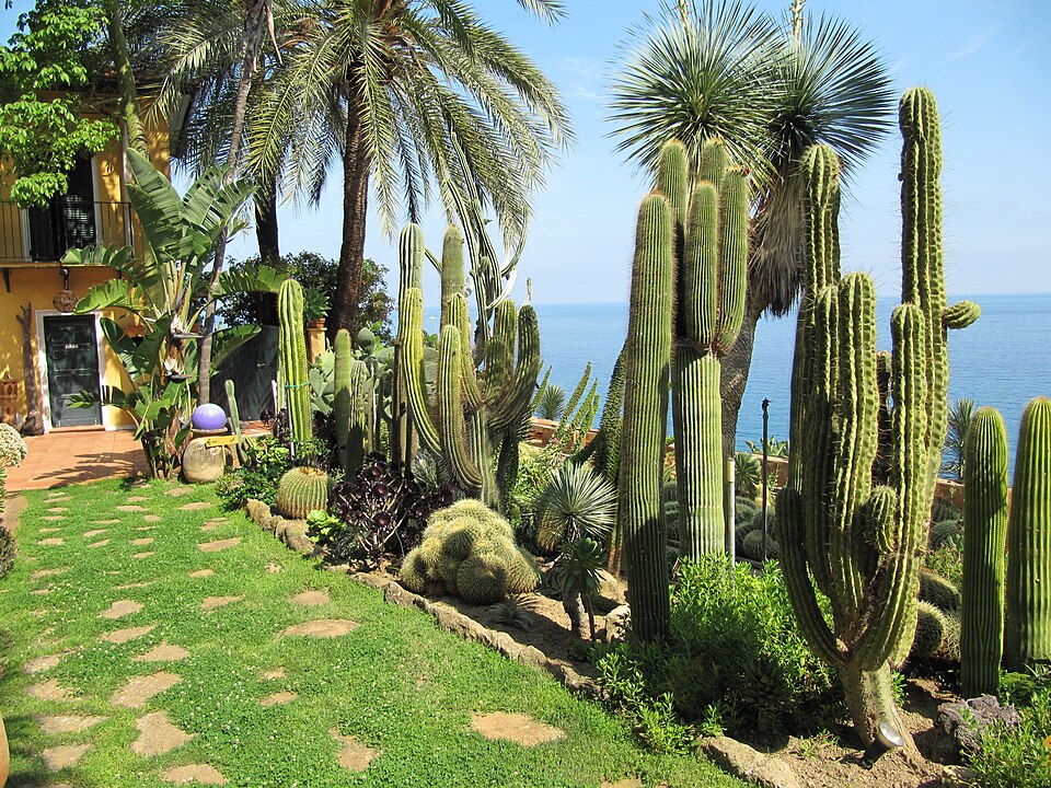 Pallanca exotic gardens（Italy）